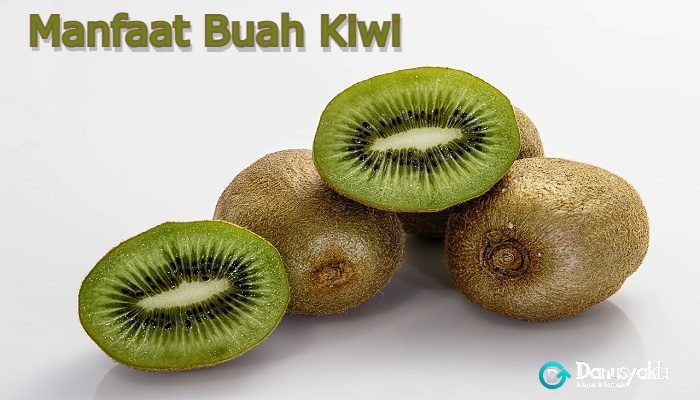 Manfaat Buah Kiwi
